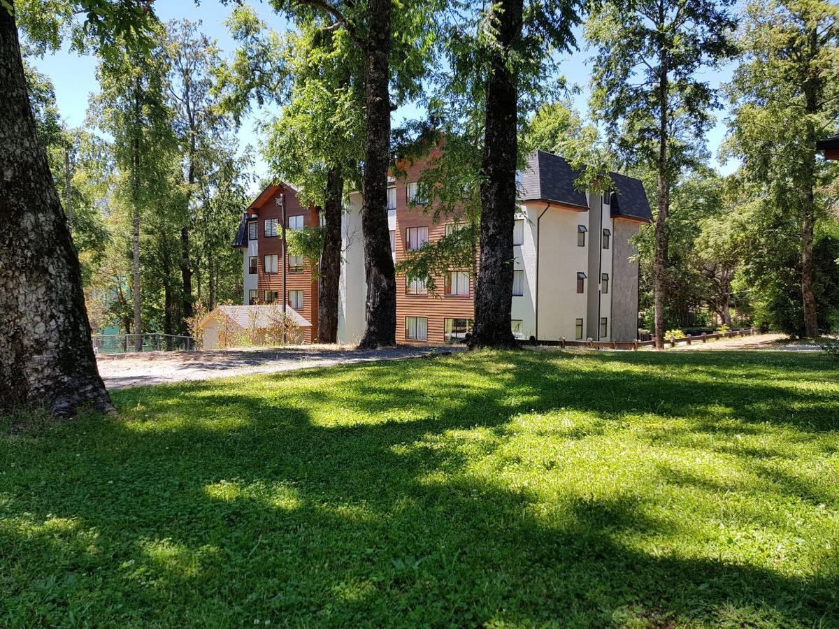 Apartamento Depto Parque Suizo 800 Pucón Exterior foto