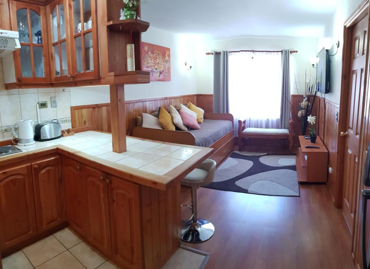 Apartamento Depto Parque Suizo 800 Pucón Exterior foto